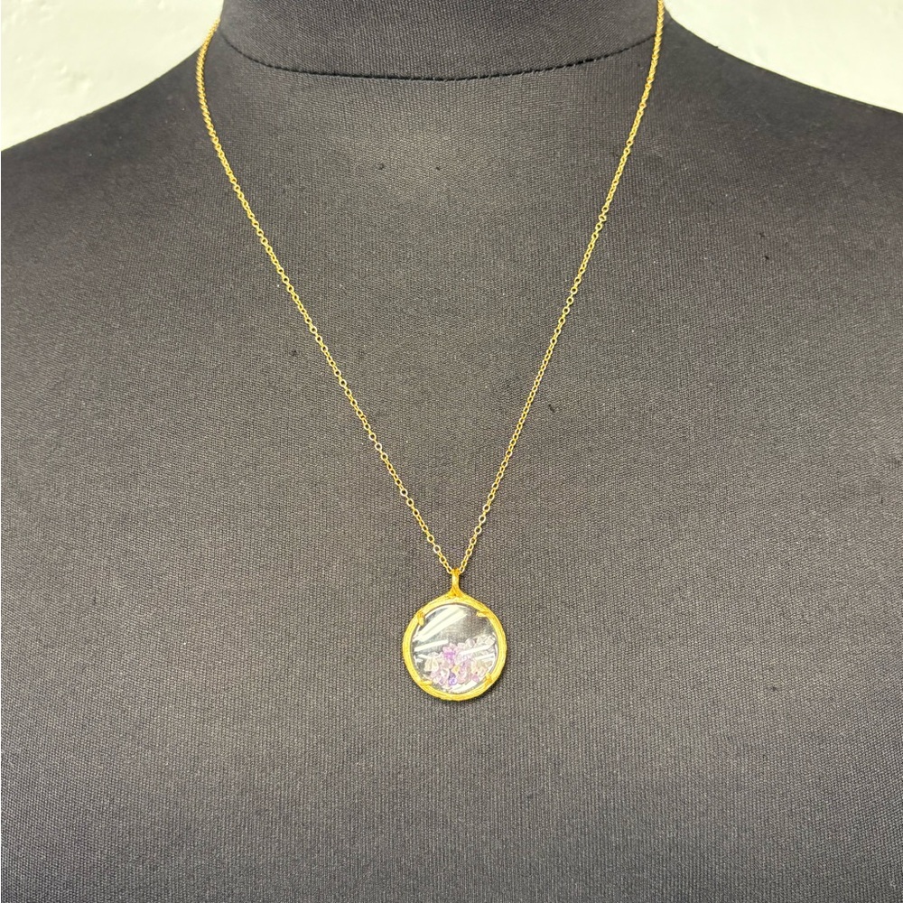 Catherine Weitzman February Birthstone Shaker Necklace - Picture 4 of 8